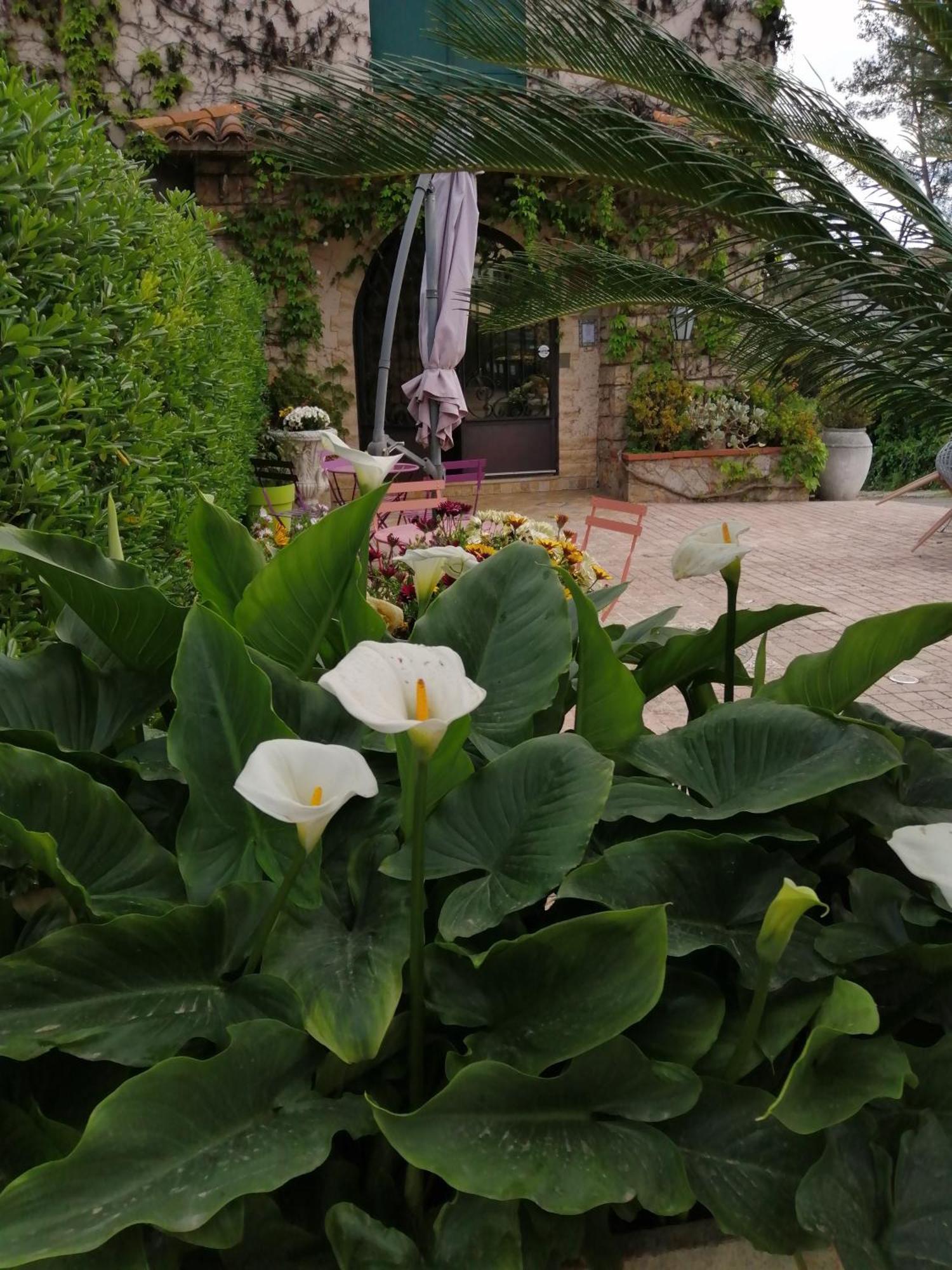 Auberge Les Aromes Γκρας Εξωτερικό φωτογραφία